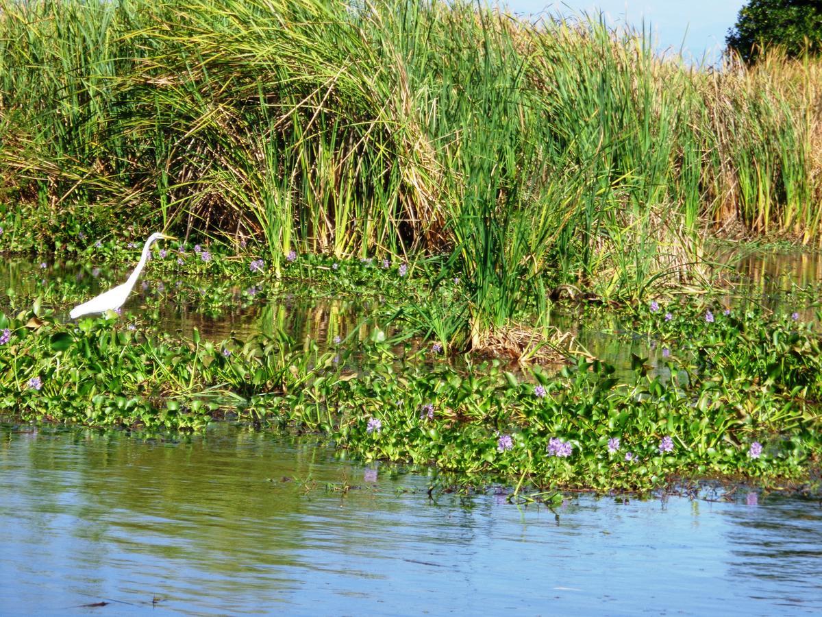 Marbella Eco Lodge Monterrico Eksteriør billede