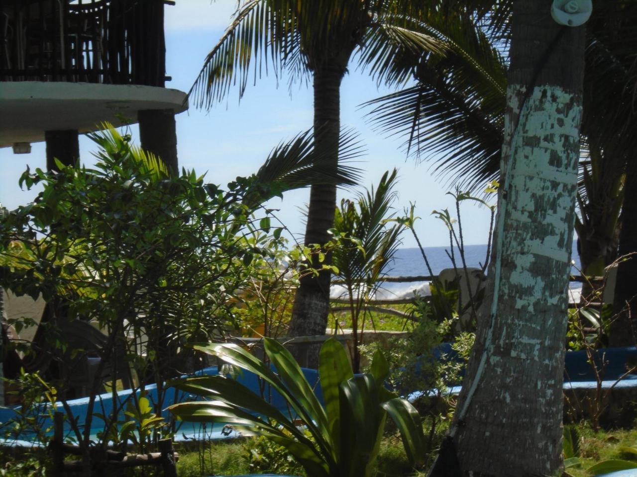 Marbella Eco Lodge Monterrico Eksteriør billede