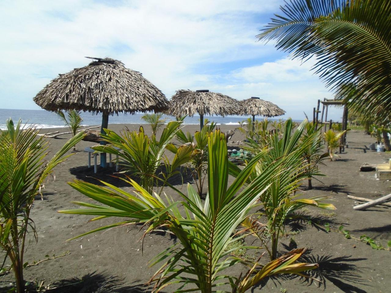 Marbella Eco Lodge Monterrico Eksteriør billede
